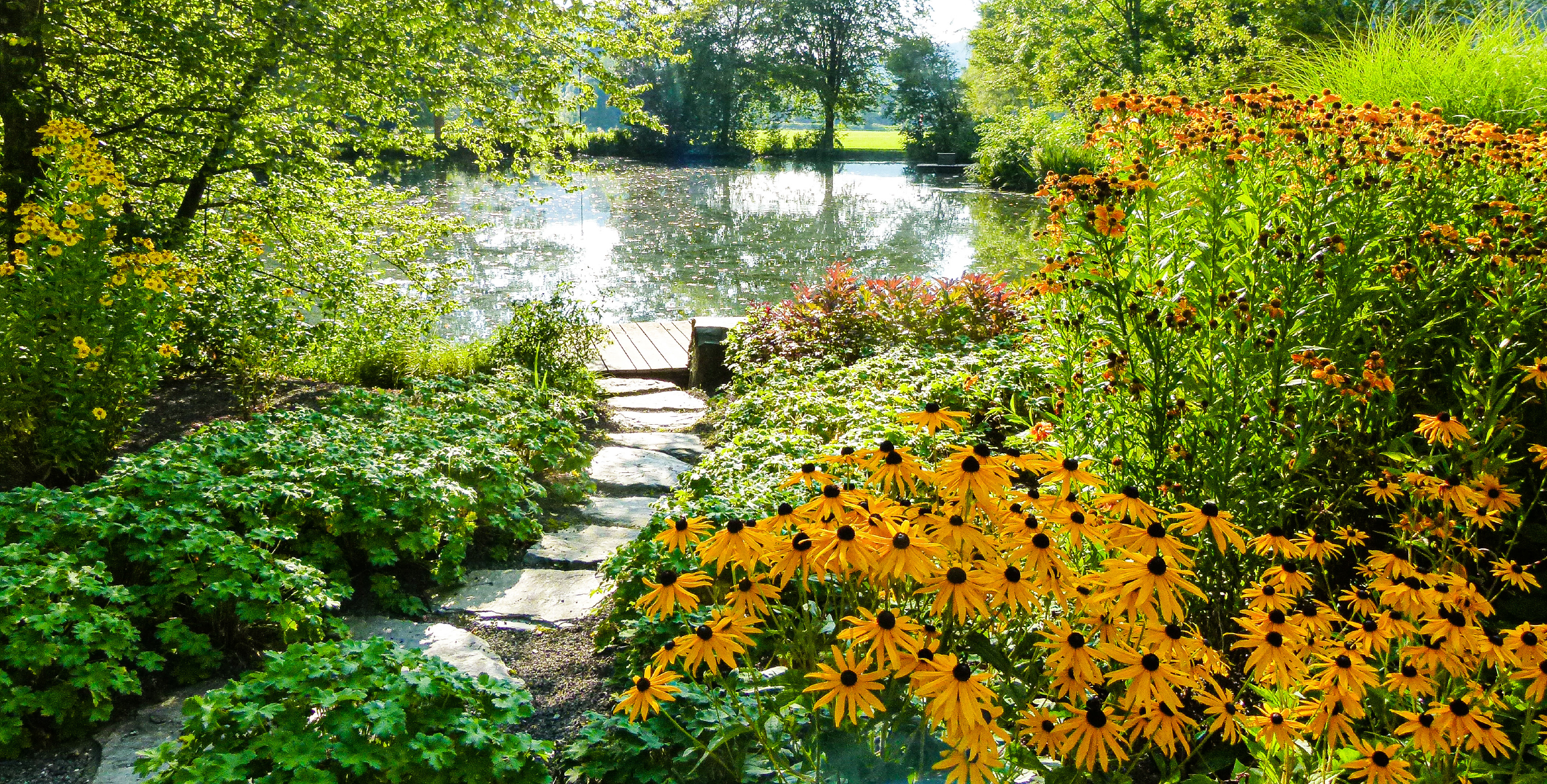 Teich mit Blumen im Kurpark Saalhausen